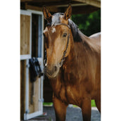 Norton Briglia Freedom L'Avana Norton Briglia Freedom L'Avana