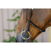 Norton Briglia Freedom L'Avana Norton Briglia Freedom L'Avana