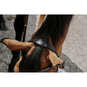 Norton Briglia senza Morso Nero Norton Briglia senza Morso Nero