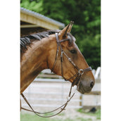 Norton Briglia senza Morso L'Avana Norton Briglia senza Morso L'Avana