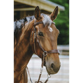 Norton Briglia senza Morso L'Avana Norton Briglia senza Morso L'Avana