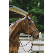 Norton Briglia senza Morso L'Avana Norton Briglia senza Morso L'Avana