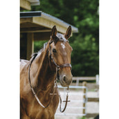 Norton Briglia senza Morso L'Avana Norton Briglia senza Morso L'Avana