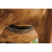 Norton Sottopancia Magnet Anatomisch L'Avana Norton Sottopancia Magnet Anatomisch L'Avana