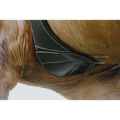 Norton Sottopancia da salto Magnet Nero Norton Sottopancia da salto Magnet Nero