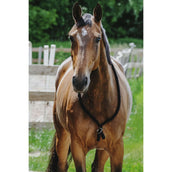 Norton Corda da collo Nero Norton Corda da collo Nero