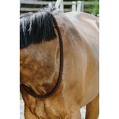 Norton Corda da collo Marrone Norton Corda da collo Marrone