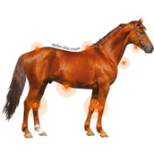 Animaderm Crema trasparente Derfen Animaderm Crema trasparente Derfen