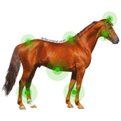 Animaderm Crema originale Derfen Animaderm Crema originale Derfen