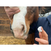 Animaderm Protezione Solare Solaren Animaderm Protezione Solare Solaren