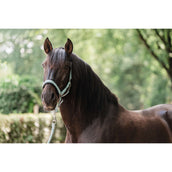 EQPRO Set Cavezza Precious Blue Reef EQPRO Set Cavezza Precious Blue Reef