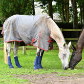 Equilibrium Parastinchi Equi-Chaps Hardy Navy Equilibrium Parastinchi Equi-Chaps Hardy Navy