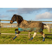 Equilibrium Parastinchi Equi-Chaps Hardy Navy Equilibrium Parastinchi Equi-Chaps Hardy Navy