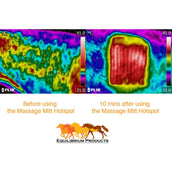 Equilibrium Guanto da massaggio Hotspot Grigio Equilibrium Guanto da massaggio Hotspot Grigio