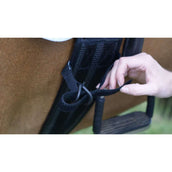 Equilibrium Legstraps Symmetry Equilibrium Legstraps Symmetry