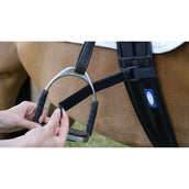 Equilibrium Legstraps Symmetry Equilibrium Legstraps Symmetry