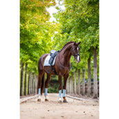 Equestrian Stockholm Parastinchi Classic Mesh Ice Blue Equestrian Stockholm Parastinchi Classic Mesh Ice Blue