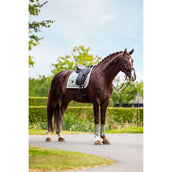 Equestrian Stockholm Parastinchi Classic Mesh Pistachio White Equestrian Stockholm Parastinchi Classic Mesh Pistachio White