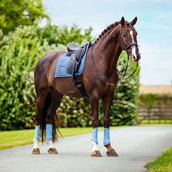 Equestrian Stockholm Parastinchi Classic Mesh Midsummer Blue Equestrian Stockholm Parastinchi Classic Mesh Midsummer Blue
