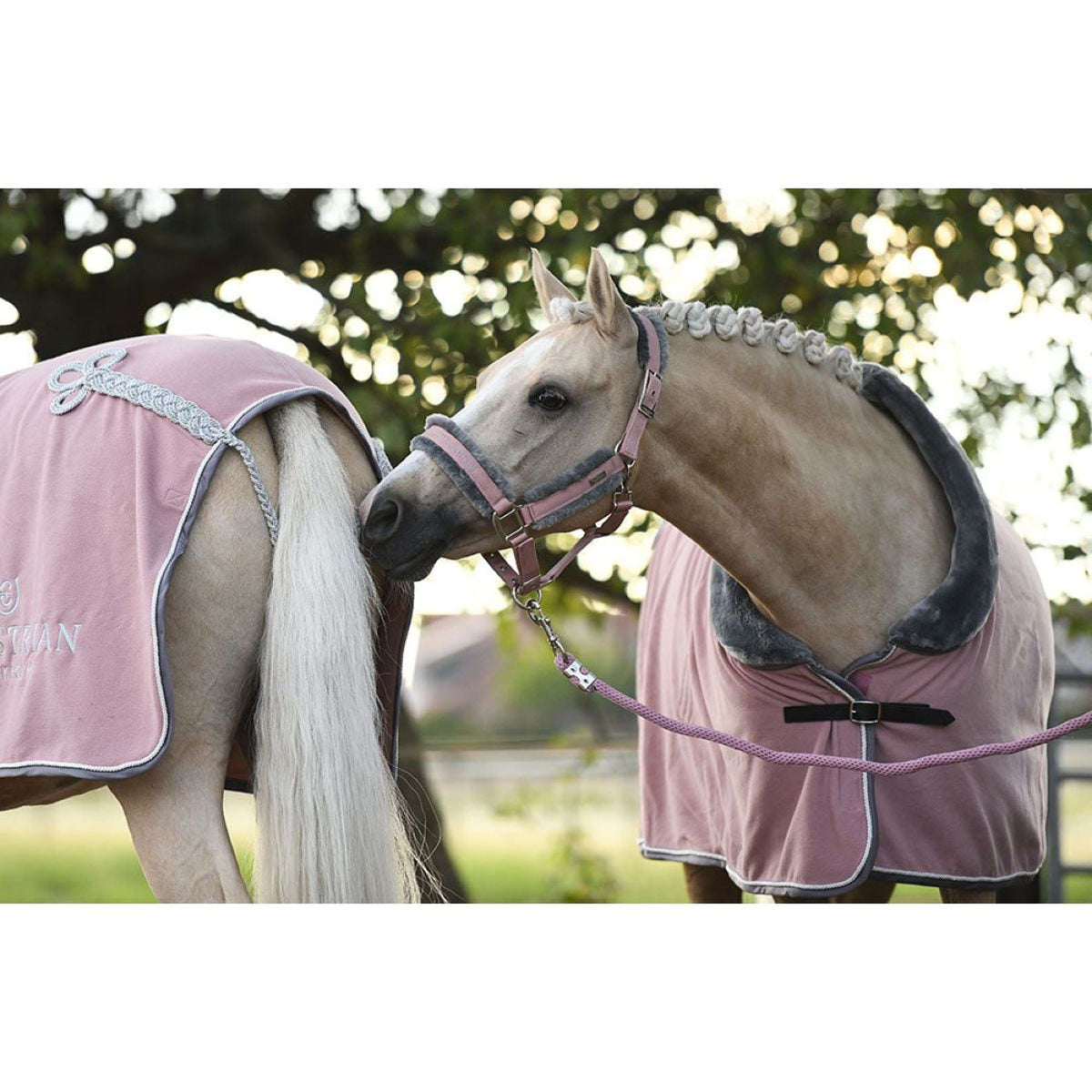 Equestrian Stockholm Capestro e Longhina Fur Rosa Equestrian Stockholm Capestro e Longhina Fur Rosa