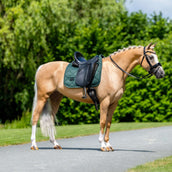Equestrian Stockholm Sottosella Satin Dressage Sycamore Green Equestrian Stockholm Sottosella Satin Dressage Sycamore Green