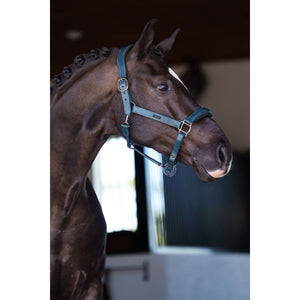 Equestrian Stockholm Capezzina Glimmer Leather Anatomic Teal Blue Equestrian Stockholm Capezzina Glimmer Leather Anatomic Teal Blue