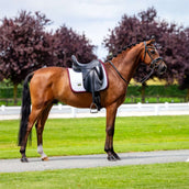 Equestrian Stockholm Sottosella Modern Dressage Bianco/Merlot Equestrian Stockholm Sottosella Modern Dressage Bianco/Merlot