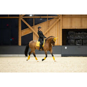 Eskadron Cuffietta Pearls Platinum '25 Golden Yellow Eskadron Cuffietta Pearls Platinum '25 Golden Yellow