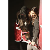 Bucas Lead Rein Dublin Padded Wine/Silver Bucas Lead Rein Dublin Padded Wine/Silver