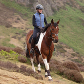 Aubrion by Shires Gilet Original Fleece Blu Aubrion by Shires Gilet Original Fleece Blu