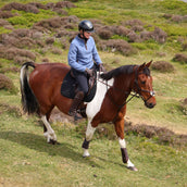 Aubrion by Shires Maglione Original Fleece Blu Aubrion by Shires Maglione Original Fleece Blu
