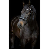 Catago Neusriem Kaptoom Gentle Nero Catago Neusriem Kaptoom Gentle Nero