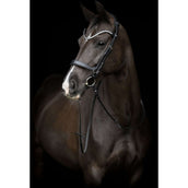 Catago Capezzina Gentle Catago Capezzina Gentle