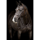 Catago Cinghia di gola Gentle met Gespen Catago Cinghia di gola Gentle met Gespen