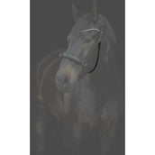 Catago Cinghia di gola Gentle met Gespen Catago Cinghia di gola Gentle met Gespen