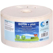 Animalixs Pietra da Leccare Biotin Plus Animalixs Pietra da Leccare Biotin Plus