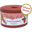 Animalixs Pietra da Leccare LollyLick Vitamin Booster Rosa canina