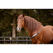 F.R.A. Redine di Equilibrio Whisper Marrone F.R.A. Redine di Equilibrio Whisper Marrone