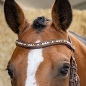 Harry's Horse Briglia Bombastic Crystals Marrone Harry's Horse Briglia Bombastic Crystals Marrone