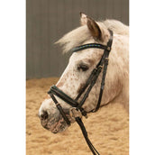 Harry's Horse Briglia STOUT! Lime Nero Harry's Horse Briglia STOUT! Lime Nero