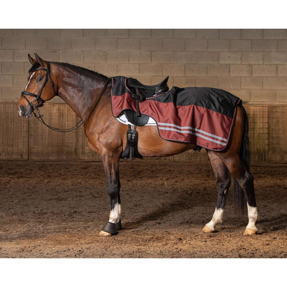 Harry's Horse Coperta da esercizio WI25 Fleece 0gr Impermeabile Jet Black Harry's Horse Coperta da esercizio WI25 Fleece 0gr Impermeabile Jet Black