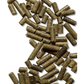 Hartog Daily Hartog Daily