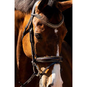 HB Briglia Jump Rocky Marrone glitterato HB Briglia Jump Rocky Marrone glitterato