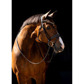 HB Briglia Jump Rocky Marrone glitterato HB Briglia Jump Rocky Marrone glitterato