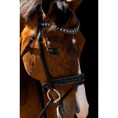 HB Briglia Jump Rocky Glitter/Nero HB Briglia Jump Rocky Glitter/Nero