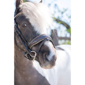 HB Briglia Rocky Marrone glitterato HB Briglia Rocky Marrone glitterato