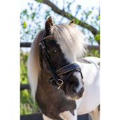 HB Briglia Rocky Marrone glitterato HB Briglia Rocky Marrone glitterato