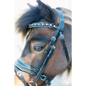 HB Briglia Rocky Glitter/Nero HB Briglia Rocky Glitter/Nero