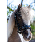 HB Briglia Rocky Glitter/Nero HB Briglia Rocky Glitter/Nero