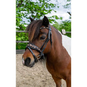 HB Ruitersport Briglia Showtime Leopard Nero HB Ruitersport Briglia Showtime Leopard Nero